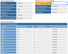 Load image into Gallery viewer, Pacote para Consultores: 41 Planilhas + Apostilas