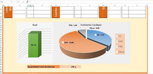 Load image into Gallery viewer, Planilha de Montagem de Cardápio de Nutrição em Excel
