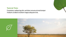 Load image into Gallery viewer, Apresentação com tema Natureza