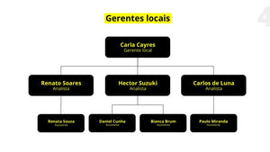 Apresentação Organograma Flex em Powerpoint