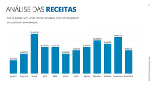 Apresentação Financeira em Powerpoint - Go Fast