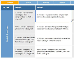 Pacote para Consultores: 41 Planilhas + Apostilas