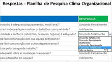 Load image into Gallery viewer, Planilha de Pesquisa de Clima Organizacional com Relatórios
