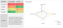 Load image into Gallery viewer, Planilha de Teste de Perfil DISC em Excel 4.0
