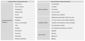 Planilha de Teste de Perfil DISC em Excel 4.0