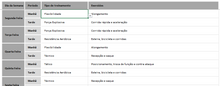 Load image into Gallery viewer, Planilha de Periodização de Treinamento em Excel 4.0
