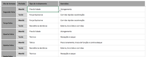 Planilha de Periodização de Treinamento em Excel 4.0
